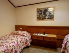 Hotel Stella Alpina *** - dovolenka Bellamonte - Dolomity - Taliansko 2025 | ludor.sk