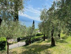 Rezidencia VILLA GIANNA ** - dovolenka Limone sul Garda - Lago di Garda - Taliansko 2027 | ludor.sk
