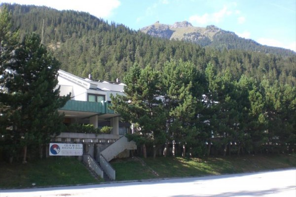 Budova hotelu Regina Elena obklopená stromy s horami v pozadí.