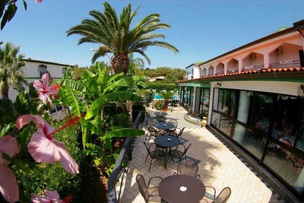 Terasa hotelu obklopená palmami a květinami se stoly a židlemi.