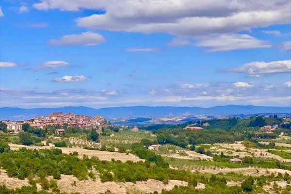 Městská panoramatická krajina s rozlehlými poli a lesy pod modrou oblohou s obláčky.