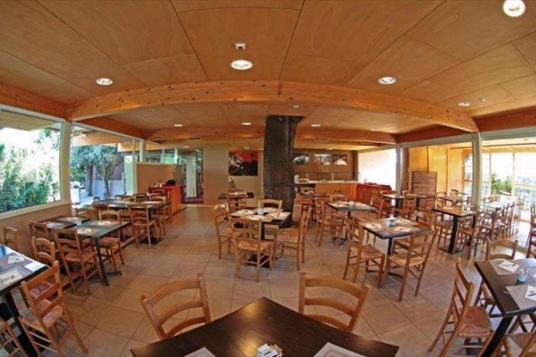 Restaurace s dřevěnými stoly a židlemi, uprostřed místnosti strom.  