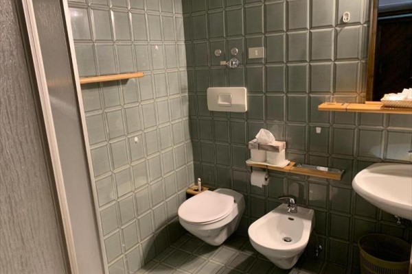 Koupelna s toaletou, bidetem a umyvadlem obložená šedými dlaždicemi.  