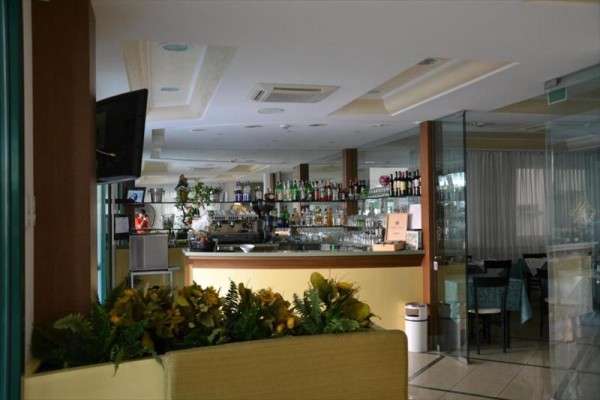 Hotelový bar s vystavenými lahvemi alkoholu, barem a rostlinami v popředí.