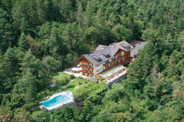 Hotel obklopený lesem s venkovním bazénem.