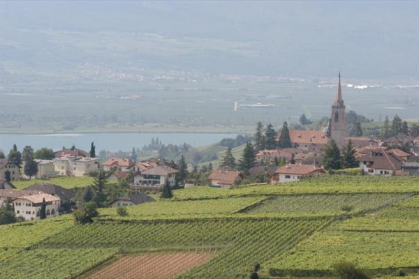 Vesnice obklopená vinicemi s kostelem a horami v pozadí.