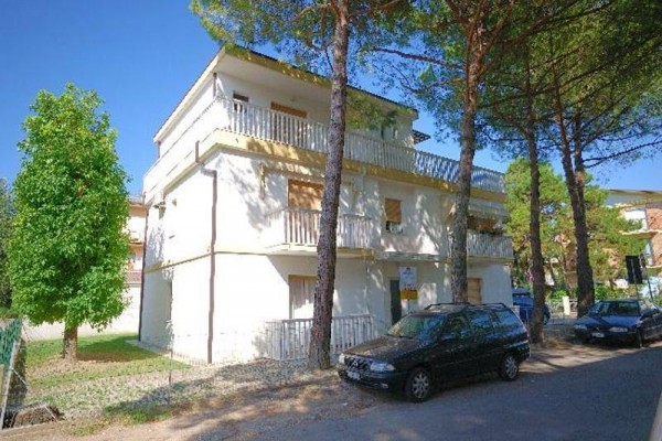 ALBA_BIBIONE_01.JPG