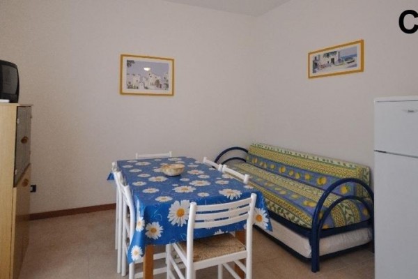 ALBA_BIBIONE_05.JPG