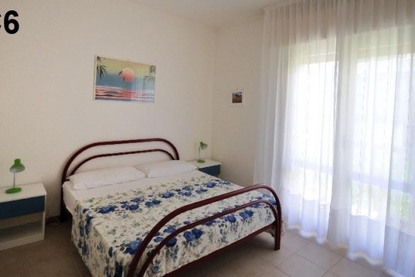 ALBA_BIBIONE_07.JPG