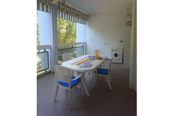 BIBIONE_AURIGADELSOLE_SOLE_07.JPG
