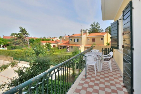 BIBIONE_MICHELANGELO_AZ_04.JPG