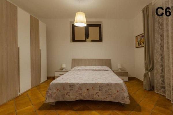 GABBIANI_MATTINATA_00026.JPG