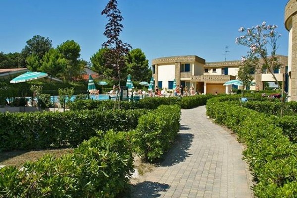 GIRASOLI_BIBIONE_SPIAGGIA_07.JPG