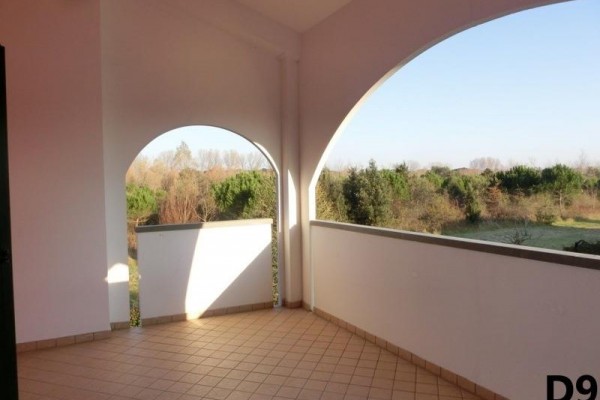 LEOPARDI_BIBIONE_31.JPG