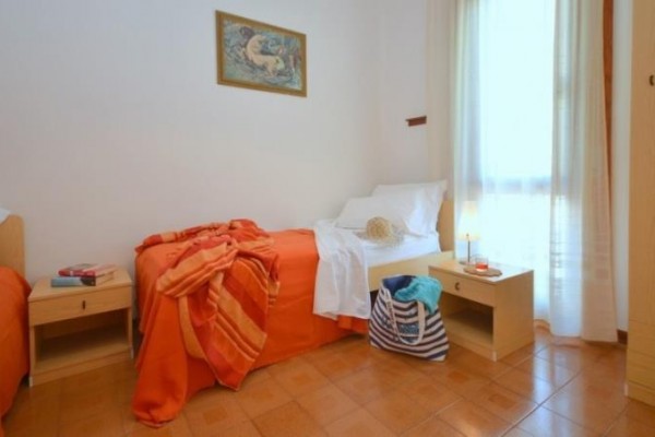 PANDA_bibione_05.jpg