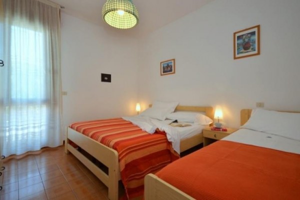 PANDA_bibione_06.jpg