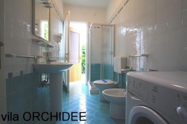 PINEDA_ORCHIDEE_BIBIONE_04.JPG