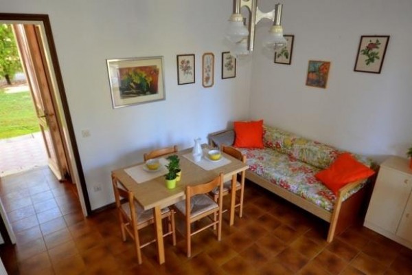 SIRIO_PESCI_bibione_07.jpg