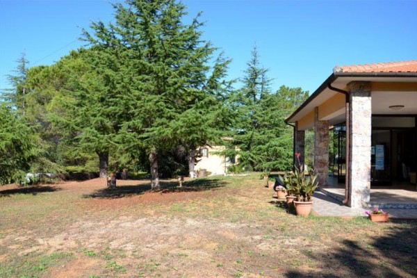 VILLINO_NELL_BOSCO_ELBA_10.JPG