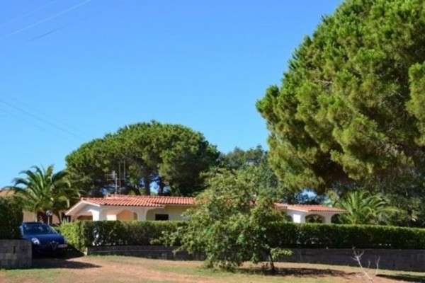 VILLINO_NELL_BOSCO_ELBA_11.JPG